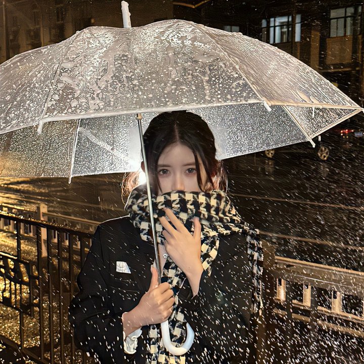 冰雪间谍
